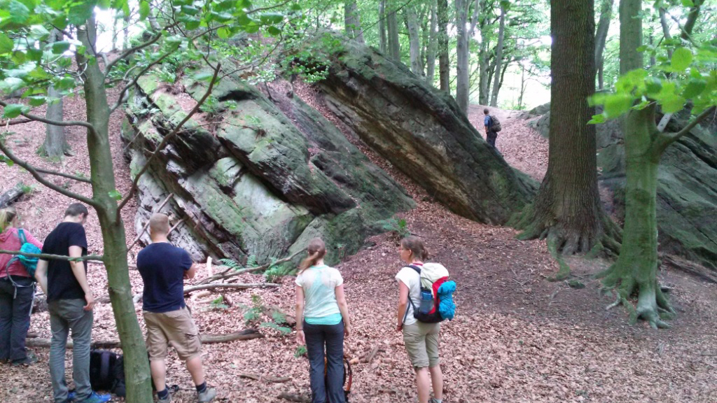 Begutachtung eines verkippten Sedimentaufschlusses im Wald