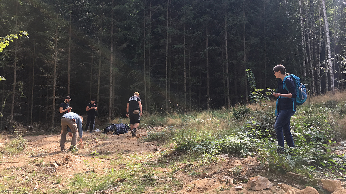 Amethystsuche auf einer Waldlichtung